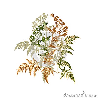 Autumn plants and leaf silhouettes Vector Illustration